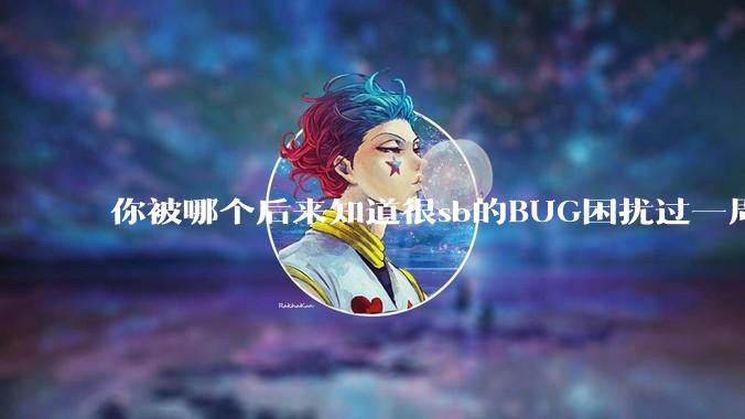 你被哪个后来知道很sb的BUG困扰过一周以上吗？