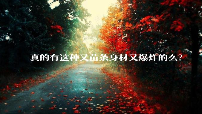 真的有这种又苗条身材又爆炸的么？