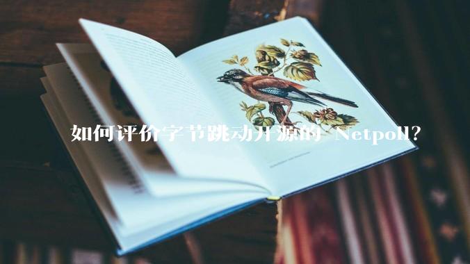 如何评价字节跳动开源的 Netpoll？