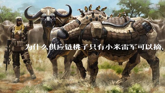 为什么供应链桃子只有小米雷军可以摘，其他人只能干瞪眼？