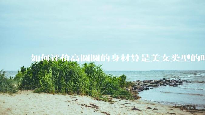 如何评价高圆圆的身材算是美女类型的吗？