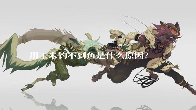 用玉米钓不到鱼是什么原因？