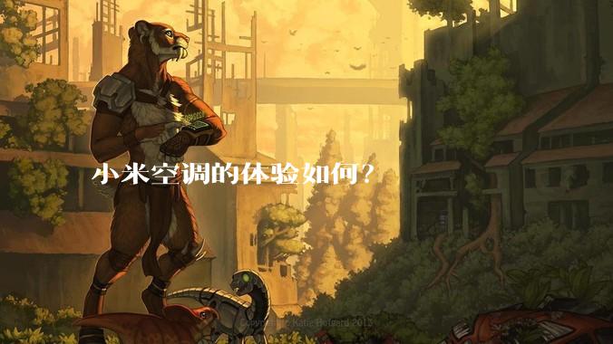小米空调的体验如何？