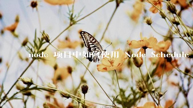 node 项目中如何使用 Node Schedule 创建定时任务？